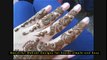 mehandi henna - beauty tips for girls