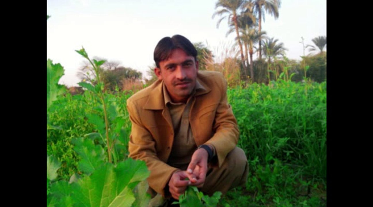punjabi son with psi