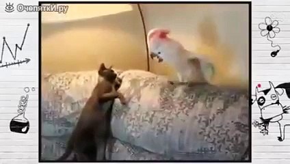 3 Три года терпения — спасибо за всё! 🙏