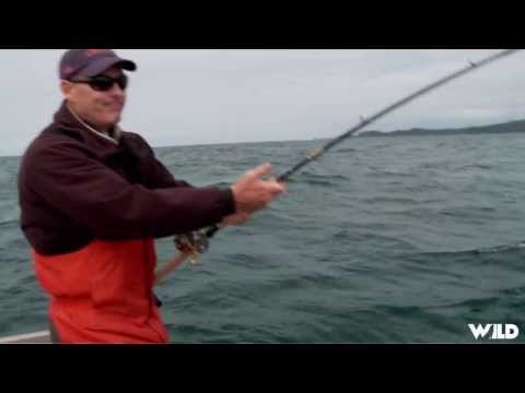 Queen Salmon Fishing in Charlotte