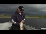 Bass and Pike Fishing