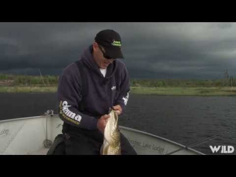 Bass and Pike Fishing