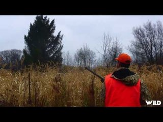 Duck Hunting in Wisconsin