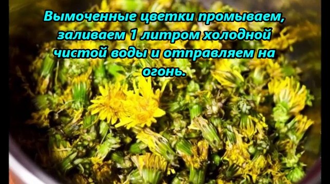 Как приготовить Варенье-Мед из Одуванчиков