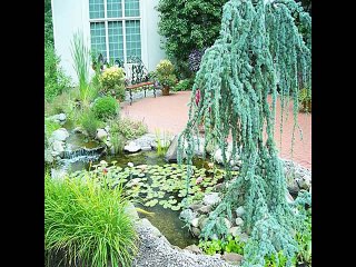 Что можно сделать в саду. Идеи для Вашего Сада