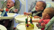 Funny Triplet Babies Laughing Compilation 2016