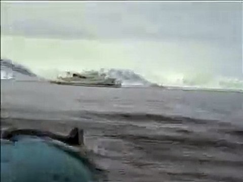 A group of killer whales circle their boat. Suddenly they notice something in their boat.
