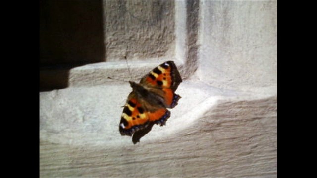 LE SUD à Rouen (Nino Ferrer tribute)