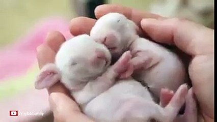 Oh my god that sweet