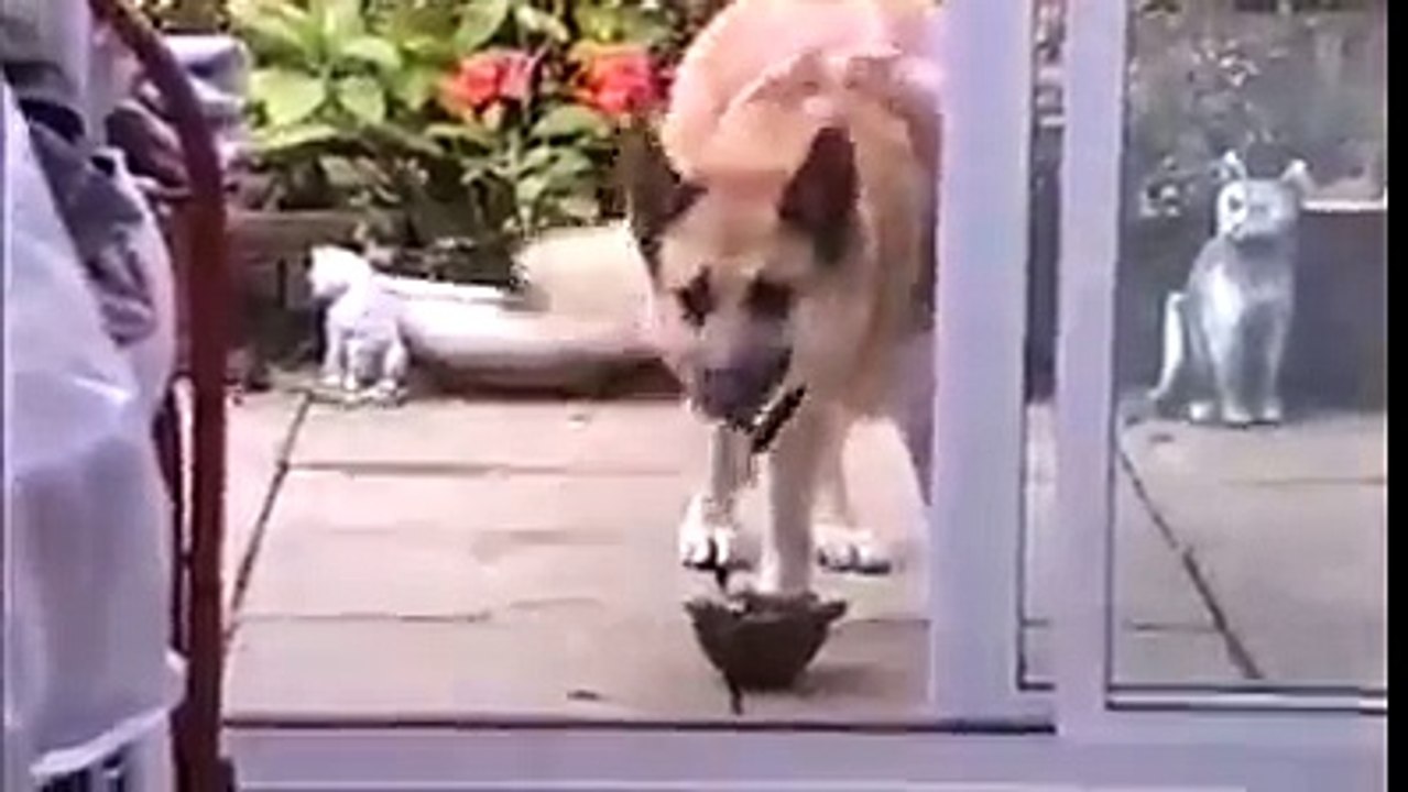 That Funny