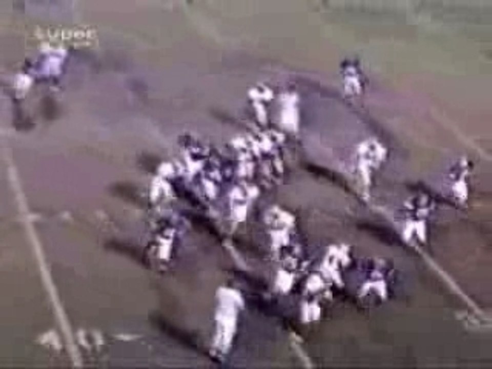 Cheerleaders gone wild