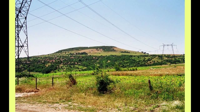 NICULINA STOICAN - COLAJ MEHEDINTI - 20 MELODII ... !!!