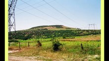 NICULINA STOICAN - COLAJ MEHEDINTI - 20 MELODII ... !!!