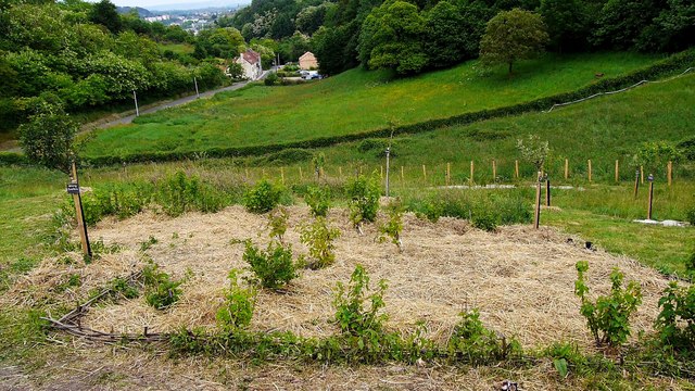 J'ai décidé de créer une ferme agro-écologique pour sensibiliser à de nouveaux modes de consommation