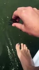 Amazing way to catch fish