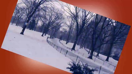 Northeast Wakes up to Record Cold for Valentine's Day