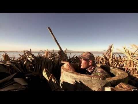 California Waterfowl