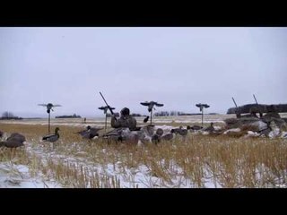 Decoy Duck Hunt