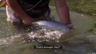 Fishing for Salmon in Quebec