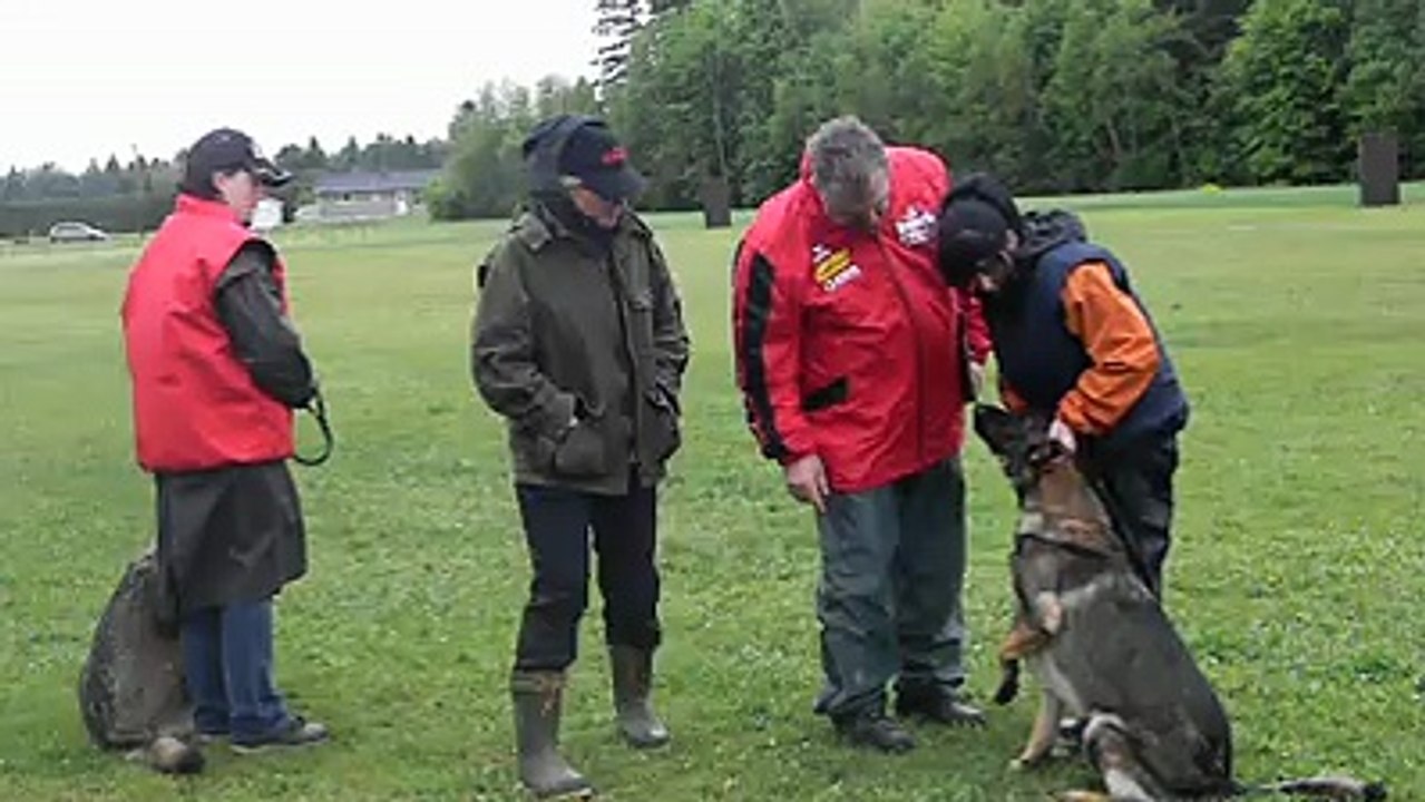 Vzeus & Vzack BH