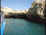 Caves and dolphin watching from Albufeira
