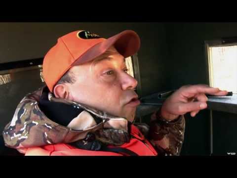 Hunting Whitetail Deer in Michigan