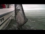 Salmon Fishing in BC