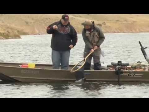 Fly Fishing for Trout in Kamloops BC