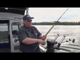 Coho Salmon Fishing Derby