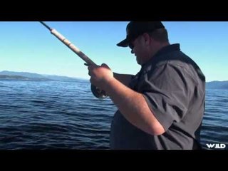 Salmon fishing on the Sunshine Coast BC