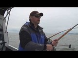 BC Salmon Fishing