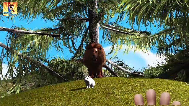 Finger Family Rhymes Crocodile Lion Dinosaurs Cartoons | Children Cartoon Nursery Rhymes