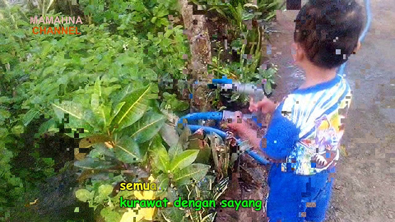Watering the plants in my house ❤ Menyiram Tanaman di Rumahku | Song For Kids