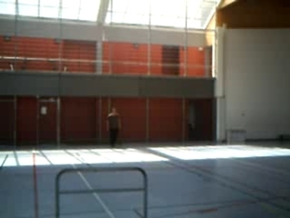 Salto golberg