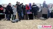 Lâcher de phoques sur la plage de Calais