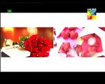 Jago Pakistan Jago Valentine's Day Special Hum Tv Promo