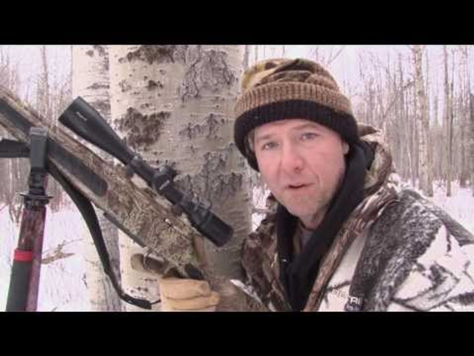 Canadian Wolf Adventure Part 1