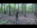 Hunting Coyote in Alabama and Hogs in Georgia