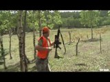 Hunting Brown Bear in Colorado