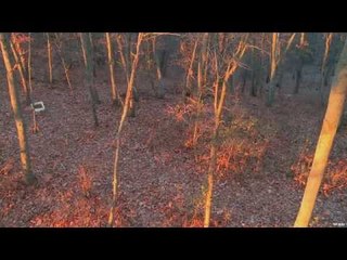 Hunting for Whitetail Deer with Bow Part 1