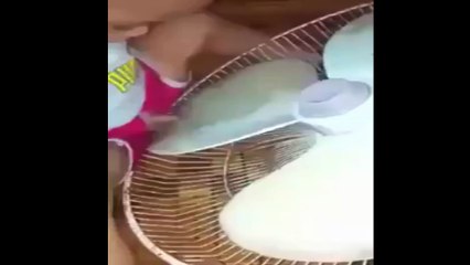 পোলা ত নয় যেন আগুনের গুলা- এই পোলা দুনিয়াতে এক পিস!
