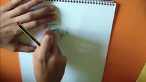 How to draw Phoenix Wright? | ¿Cómo dibujar a Phoenix Wright?