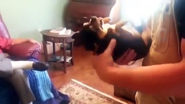 Главное вовремя привратиться мертвым