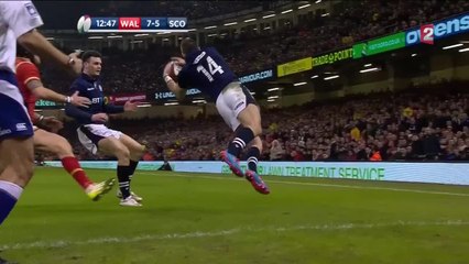 VIDEO. Pays de Galles-Ecosse : L’Ecosse réagit brillamment grâce à Seymour !