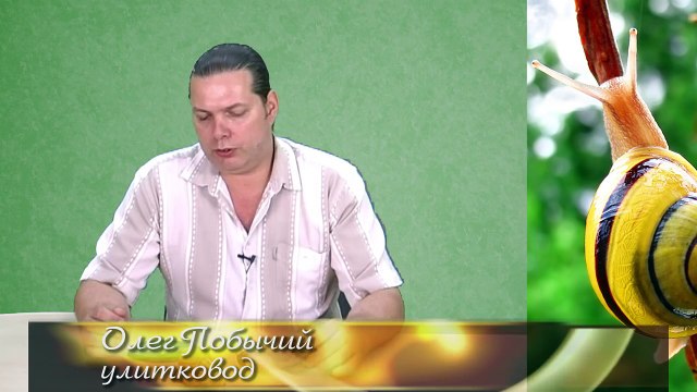 Авторская программа Владимира Шаверина из цикла Свой взгляд Улитки часть 4