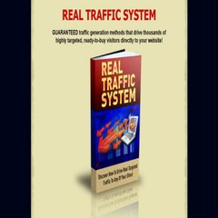 Real Traffic System