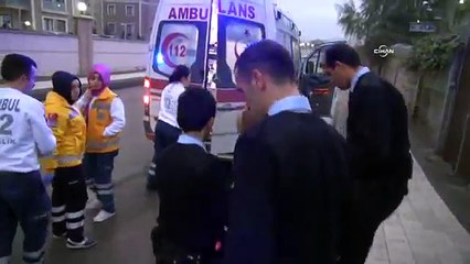 Bonzai bu hale getirdi