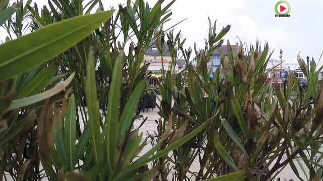 Quiberon | La Tempête a mangé le Sable de la Grande Plage | TV Quiberon 24/7