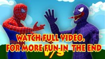 Spider Man Vs Venom Finger Family | Spiderman Finger Family Nursery Rhymes In Real Life