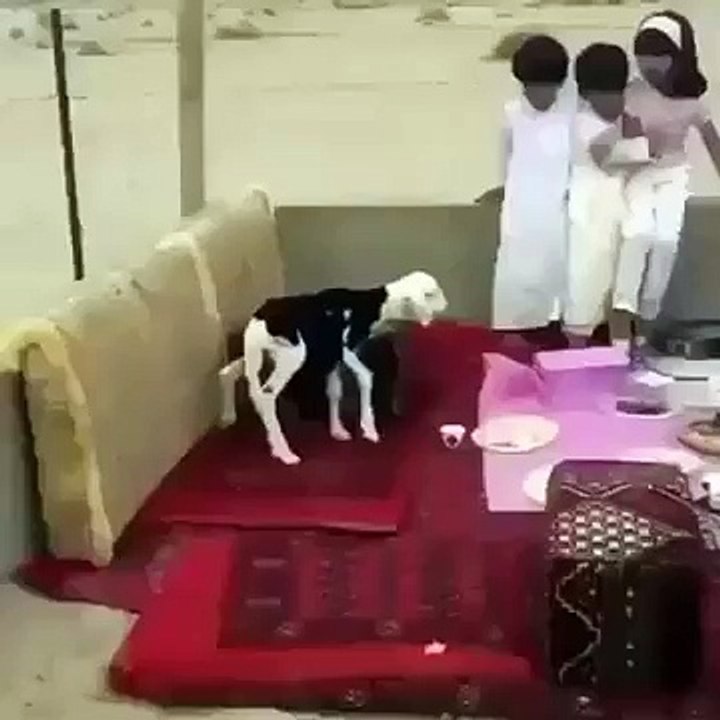 Scary Prank